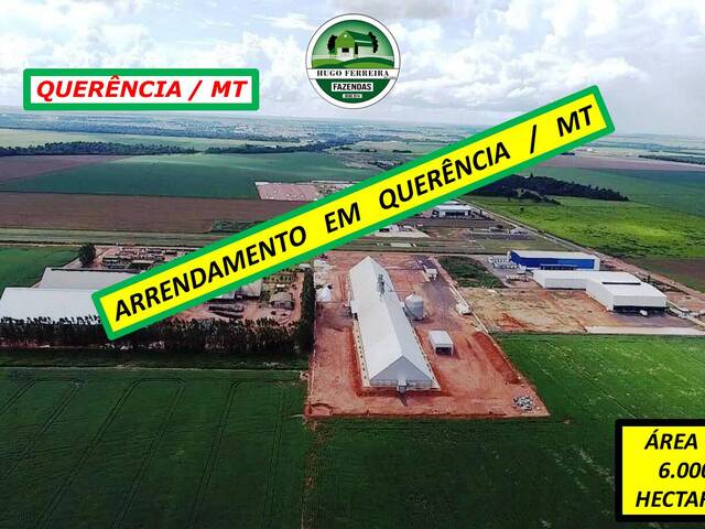 #4034 - Fazenda para Arrendamento em Querência - MT - 1