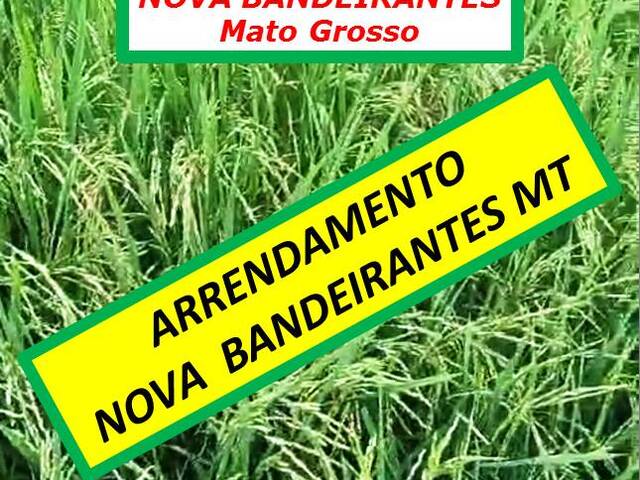 #4040 - Fazenda para Arrendamento em Nova Bandeirantes - MT - 1