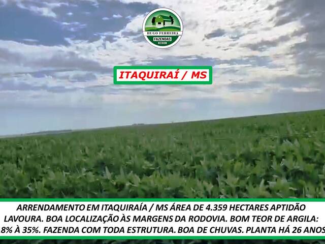 #4050 - Fazenda para Arrendamento em Itaquiraí - MS - 3