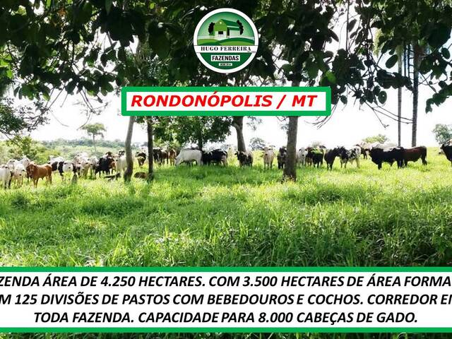#4064 - Fazenda para Venda em Rondonópolis - MT - 2