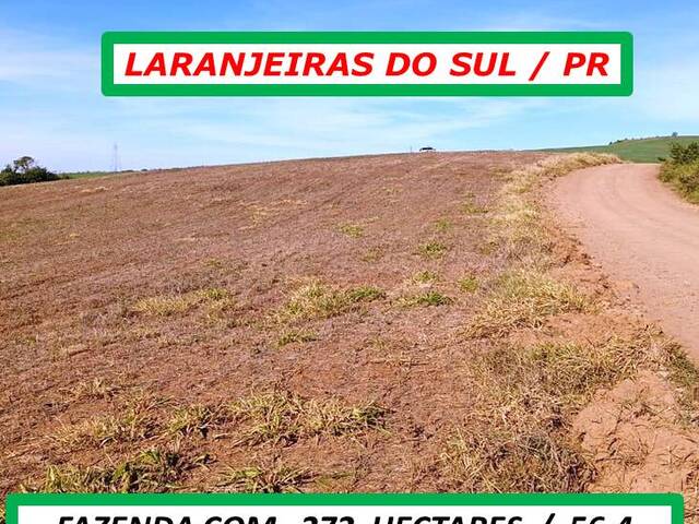  para  em  - 3