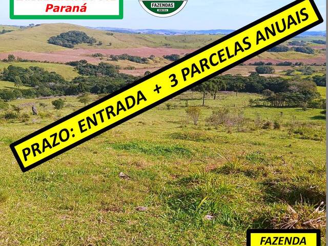 #3111 - Fazenda para Venda em Laranjeiras do Sul - PR