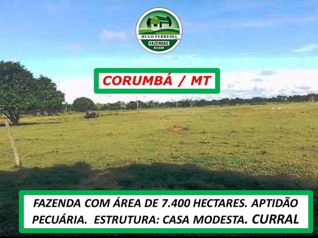 #4079 - Fazenda para Venda em Corumbá - MS - 3