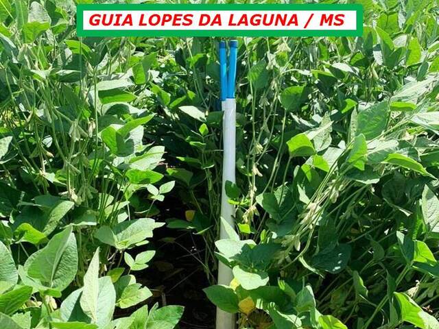  para  em  - 3