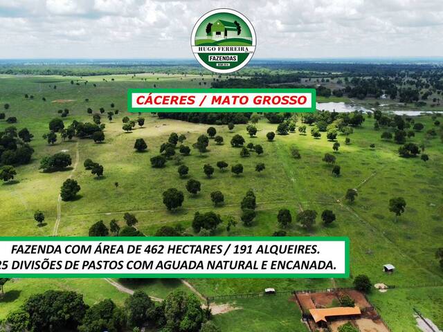  para  em  - 3