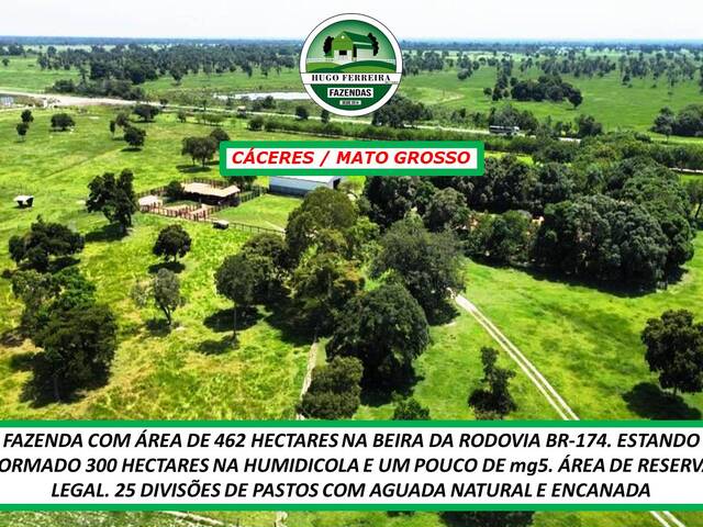  para  em  - 4