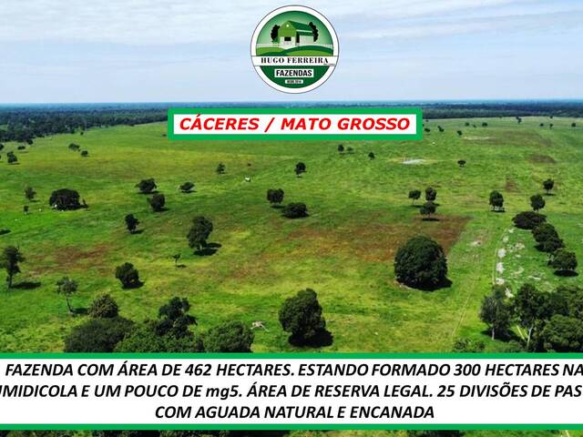  para  em  - 5