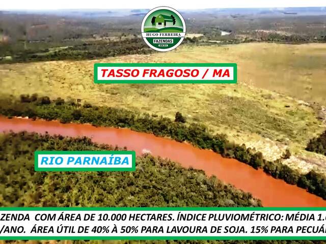 #4111 - Fazenda para Venda em Tasso Fragoso - MA - 2