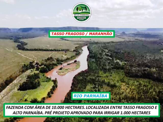 #4111 - Fazenda para Venda em Tasso Fragoso - MA - 3