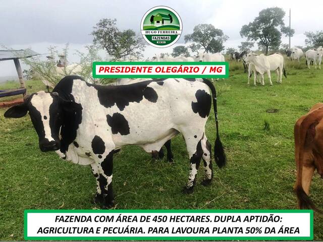 #4121 - Fazenda para Venda em Presidente Olegário - MG
