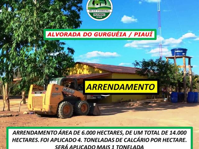 #4155 - Fazenda para Arrendamento em Alvorada do Gurguéia - PI - 2