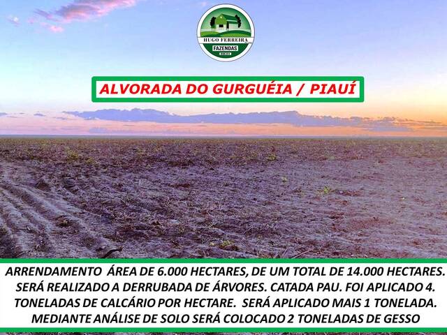 #4155 - Fazenda para Arrendamento em Alvorada do Gurguéia - PI - 3