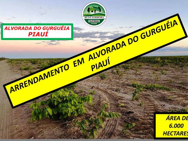 #4155 - Fazenda para Arrendamento em Alvorada do Gurguéia - PI - 1