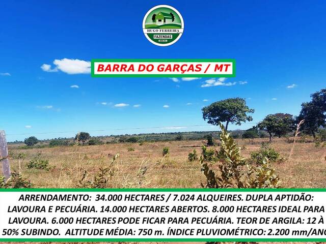#4177 - Fazenda para Arrendamento em Barra do Garças - MT - 3