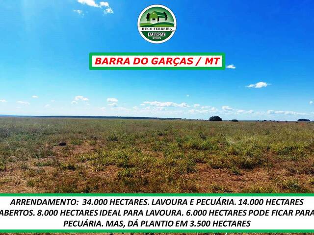  para  em  - 5