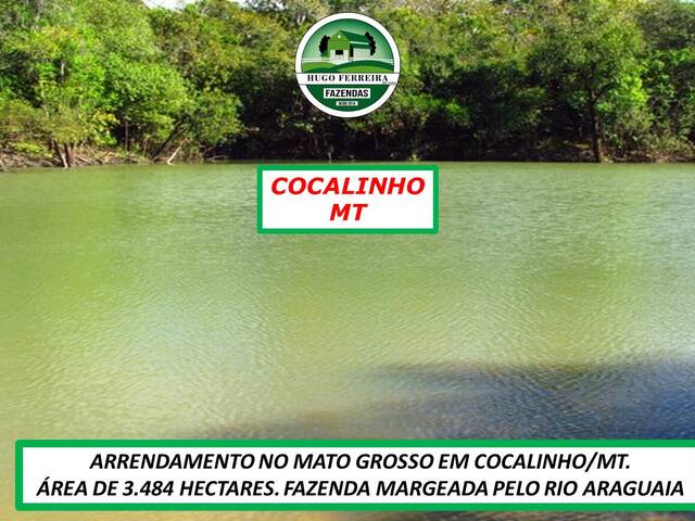 #4188 - Fazenda para Arrendamento em Cocalinho - MT - 2