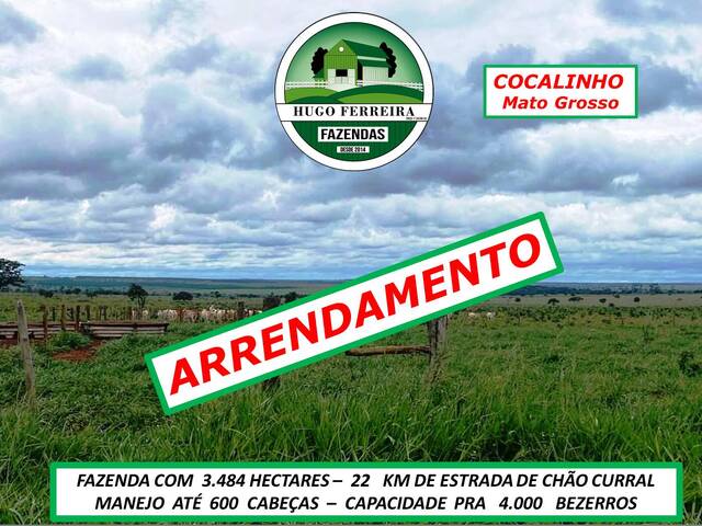 #4188 - Fazenda para Arrendamento em Cocalinho - MT - 3