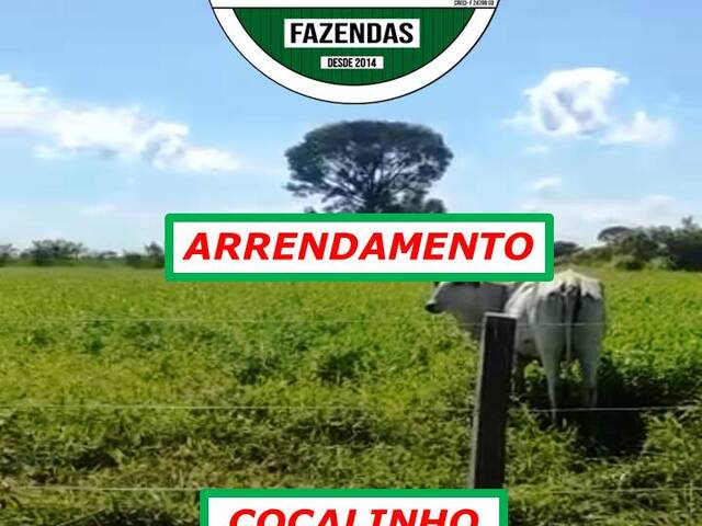  para  em  - 4