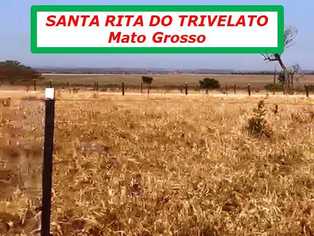 #4222 - Fazenda para Arrendamento em Santa Rita do Trivelato - MT - 2