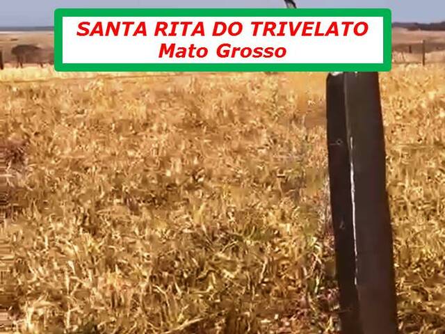 #4222 - Fazenda para Arrendamento em Santa Rita do Trivelato - MT - 3