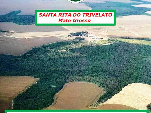#4233 - Fazenda para Arrendamento em Santa Rita do Trivelato - MT - 2