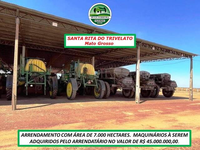 #4233 - Fazenda para Arrendamento em Santa Rita do Trivelato - MT - 3