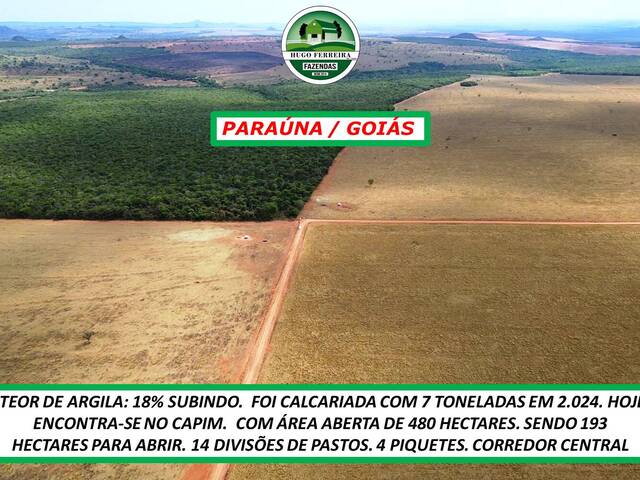#4277 - Fazenda para Arrendamento em Paraúna - GO - 3