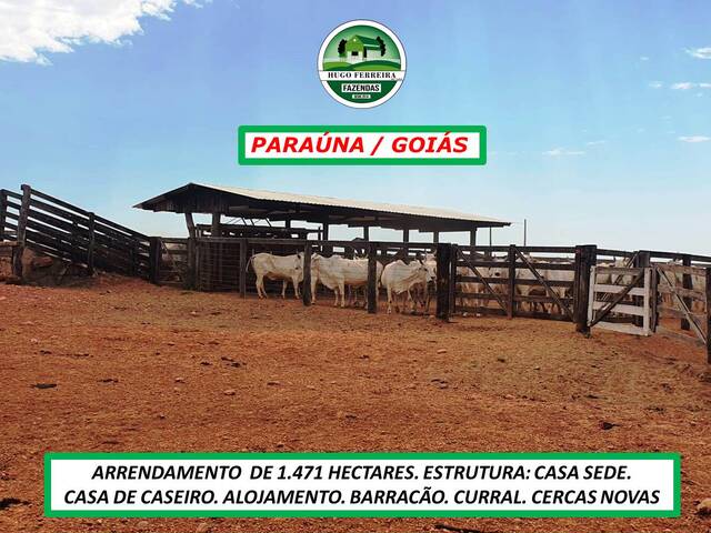  para  em  - 5