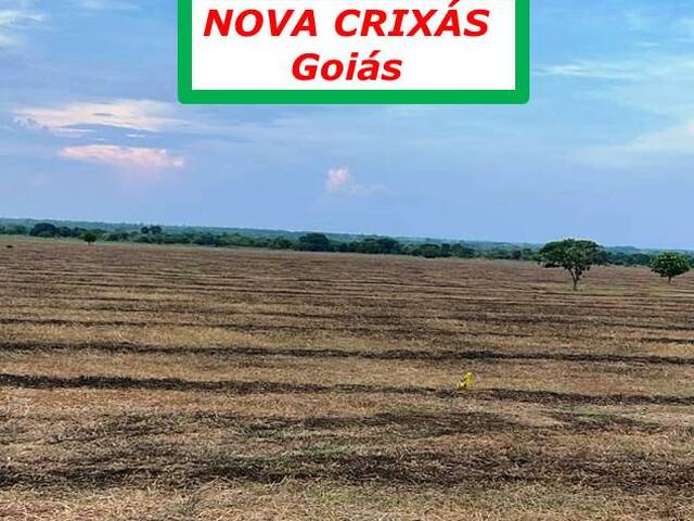 #4288 - Fazenda para Arrendamento em Nova Crixás - GO - 2