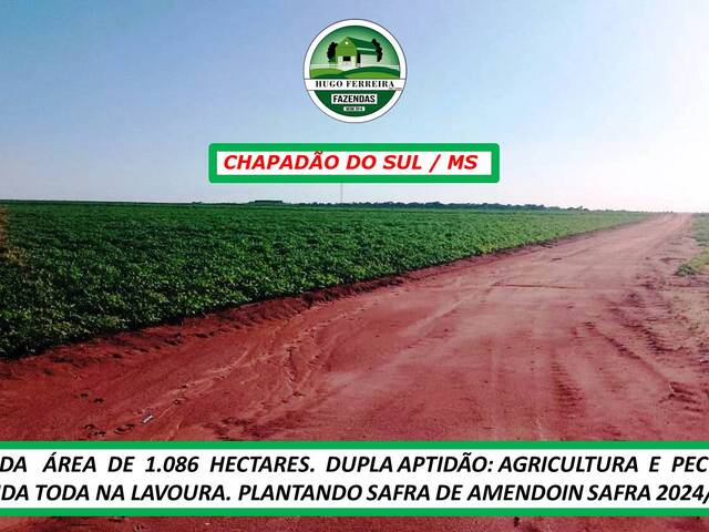 #4333 - Fazenda para Venda em Chapadão do Sul - MS - 2