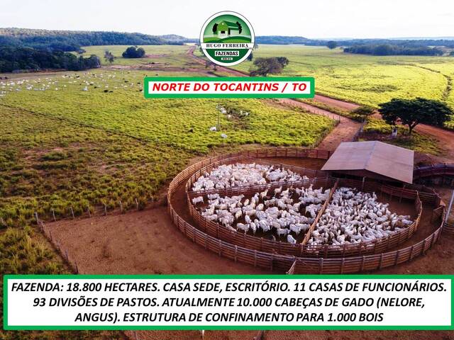 #4343 - Fazenda para Venda em Guaraí - TO