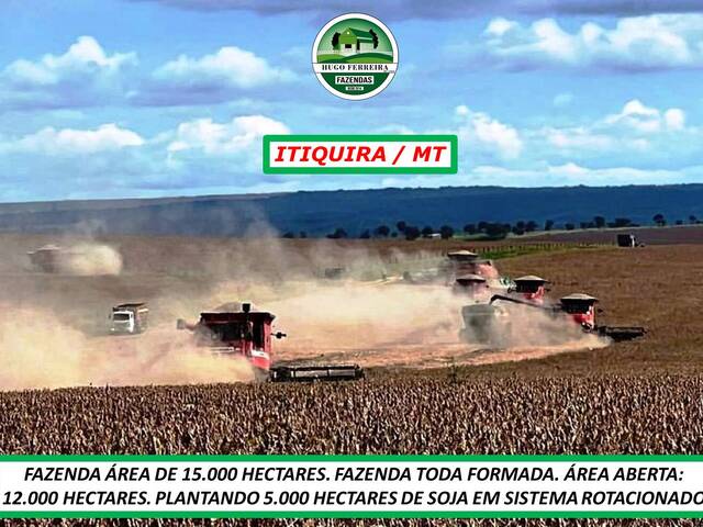  para  em  - 4