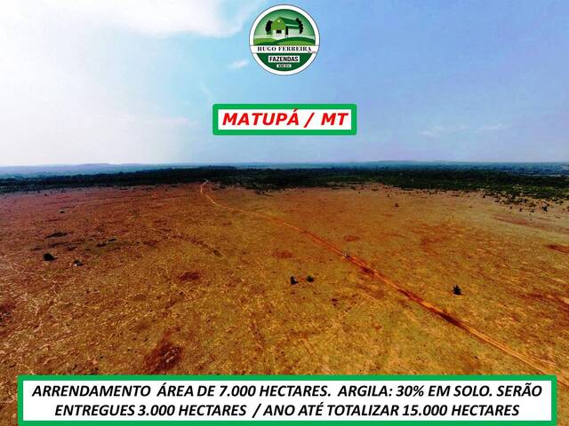 #4424 - Fazenda para Arrendamento em Matupá - MT - 2