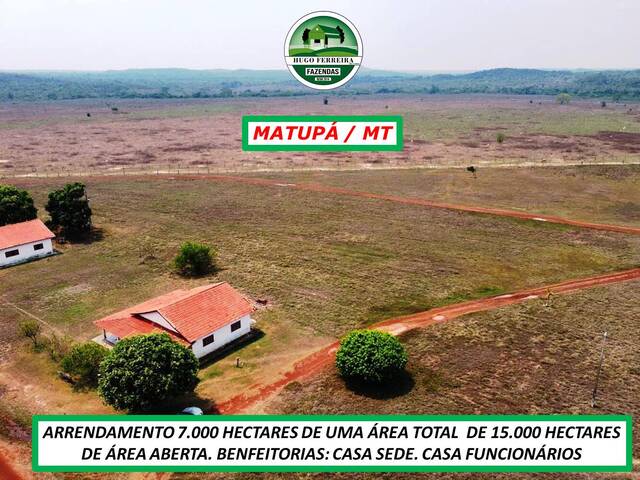 #4424 - Fazenda para Arrendamento em Matupá - MT - 3