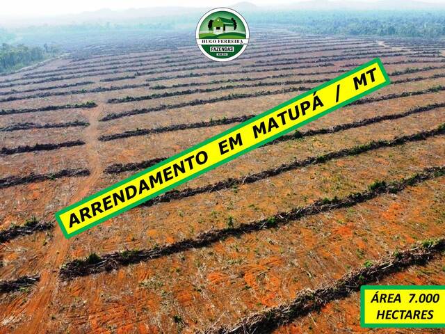 #4424 - Fazenda para Arrendamento em Matupá - MT