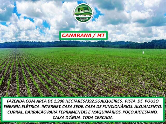 #4444 - Fazenda para Venda em Canarana - MT - 2