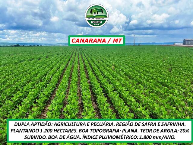 #4444 - Fazenda para Venda em Canarana - MT - 3
