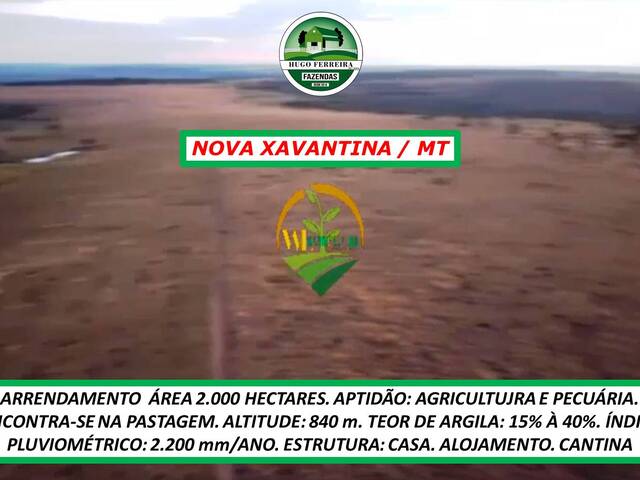 #4466 - Fazenda para Arrendamento em Nova Xavantina - MT - 2