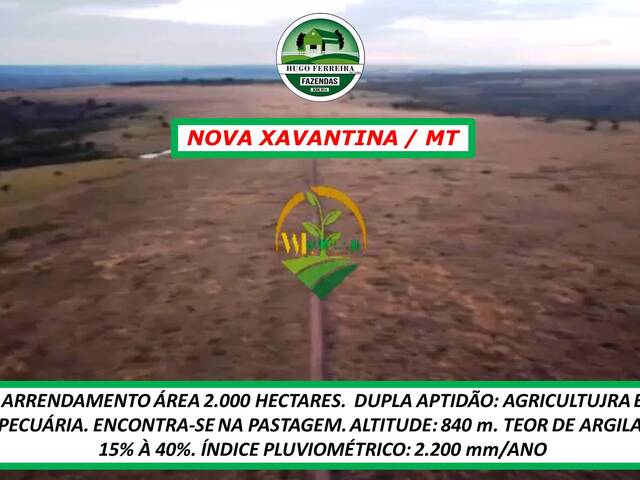 #4466 - Fazenda para Arrendamento em Nova Xavantina - MT - 3