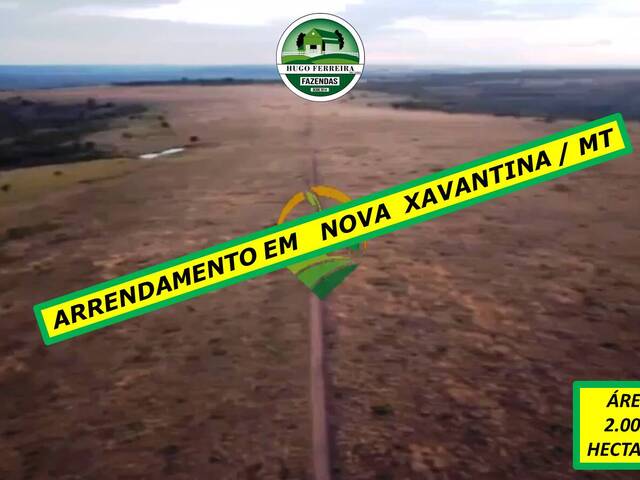 #4466 - Fazenda para Arrendamento em Nova Xavantina - MT - 1