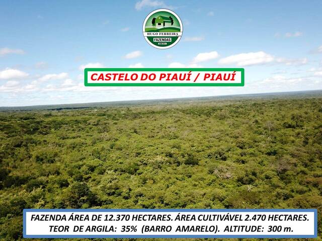 #4488 - Fazenda para Arrendamento em São José do Xingu - MT - 2