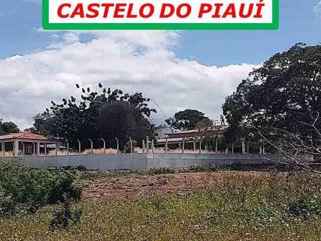 #4488 - Fazenda para Arrendamento em São José do Xingu - MT - 3