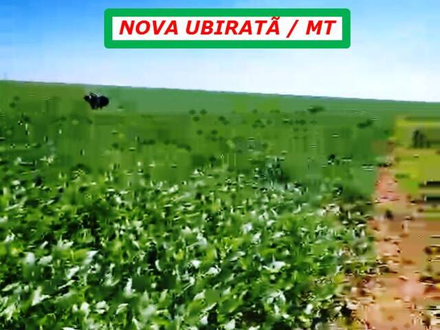 #4511 - Chácara para Venda em Nova Ubiratã - MT - 2