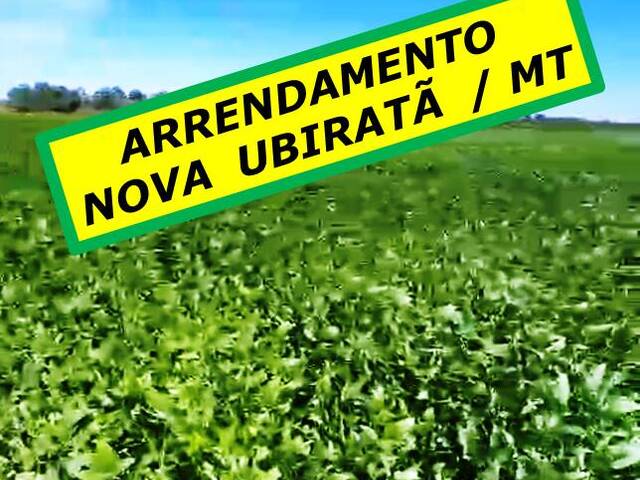 #4511 - Chácara para Venda em Nova Ubiratã - MT - 1