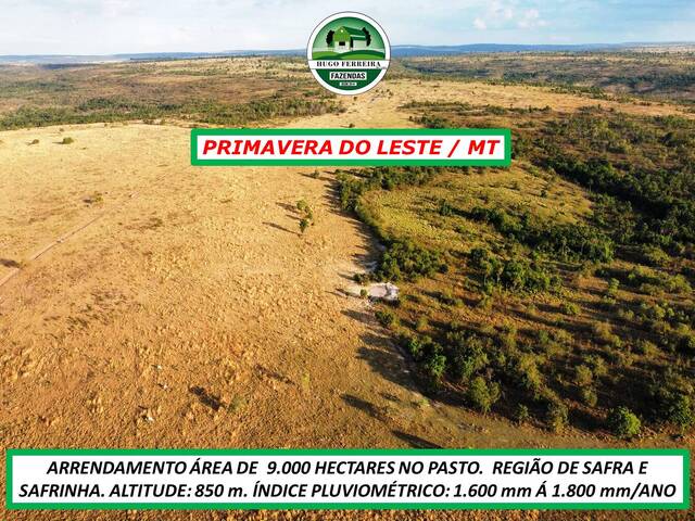#4522 - Fazenda para Arrendamento em Primavera do Leste - MT - 2