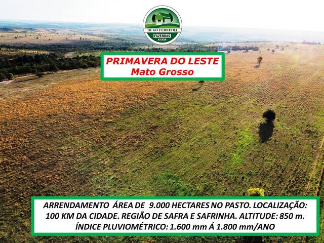 #4522 - Fazenda para Arrendamento em Primavera do Leste - MT - 3