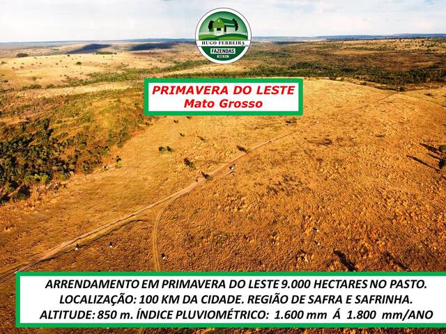  para  em  - 4