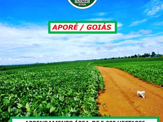 #4551 - Fazenda para Arrendamento em Aporé - GO - 2