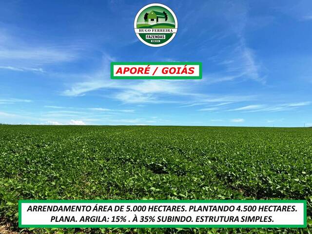 #4551 - Fazenda para Arrendamento em Aporé - GO - 3