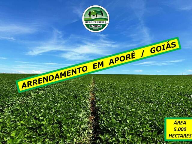 #4551 - Fazenda para Arrendamento em Aporé - GO
